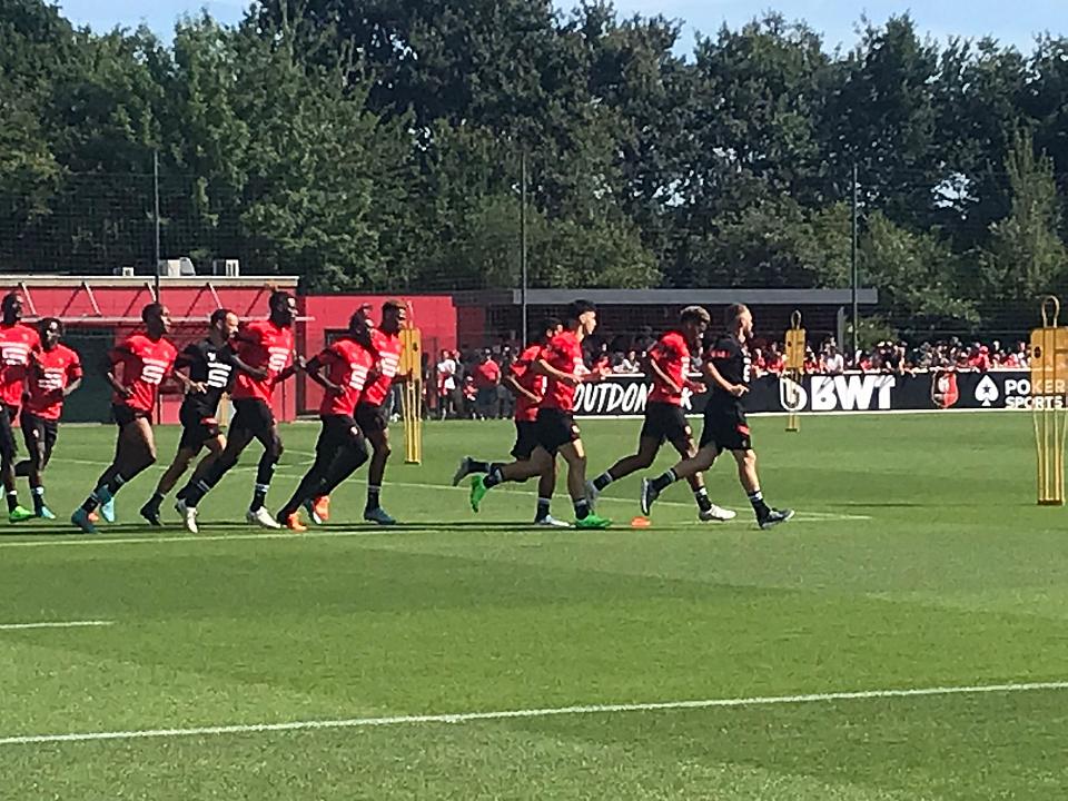 Sécheresse : le Stade rennais reconnait une « erreur » suite à un arrosage en journée