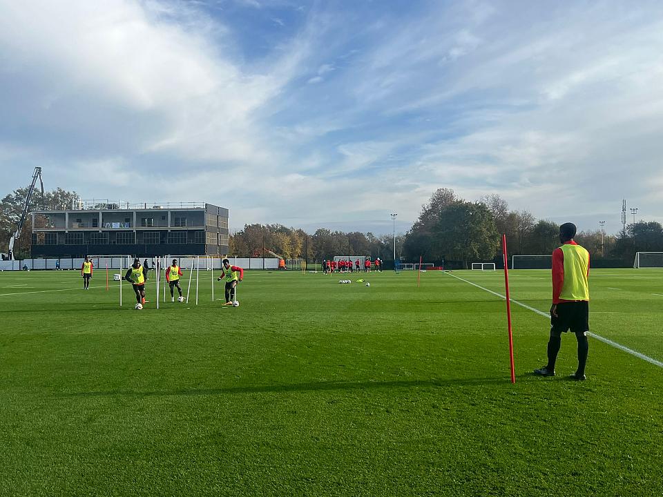 Lille - Stade rennais : Steve Mandanda de retour à l'entrainement