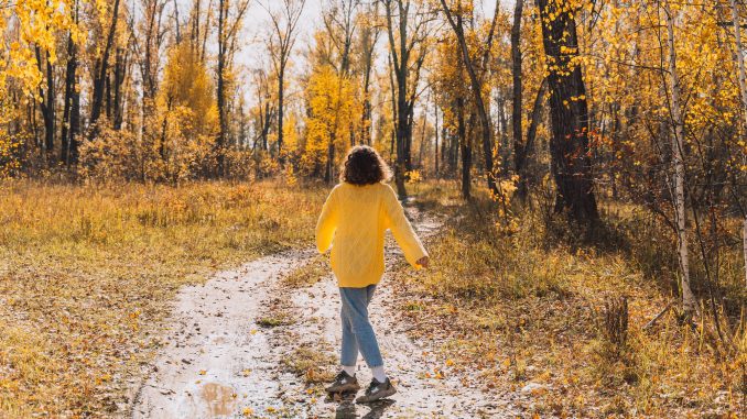 Pull d'automne